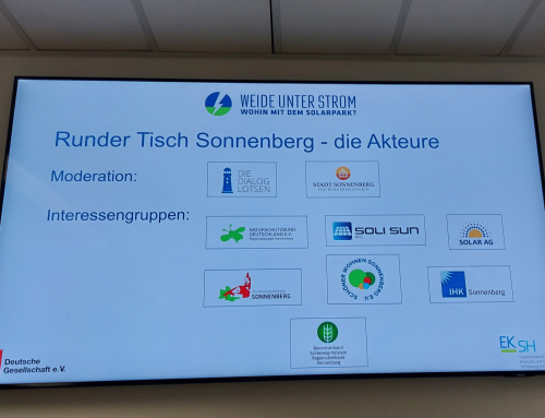 Planspiel „Weide unter Strom“ am KGB – WiPo-Profil diskutiert über Strategien zur Energiewende