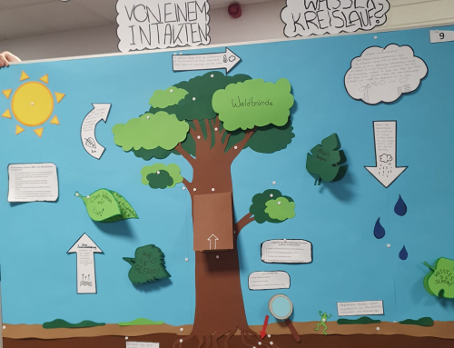 Vorstellung der NaWi- und Geo-Profilseminare