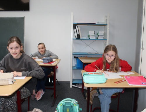 „Wirklich schöne Aufgaben“ beim diesjährigen Känguru-Wettbewerb